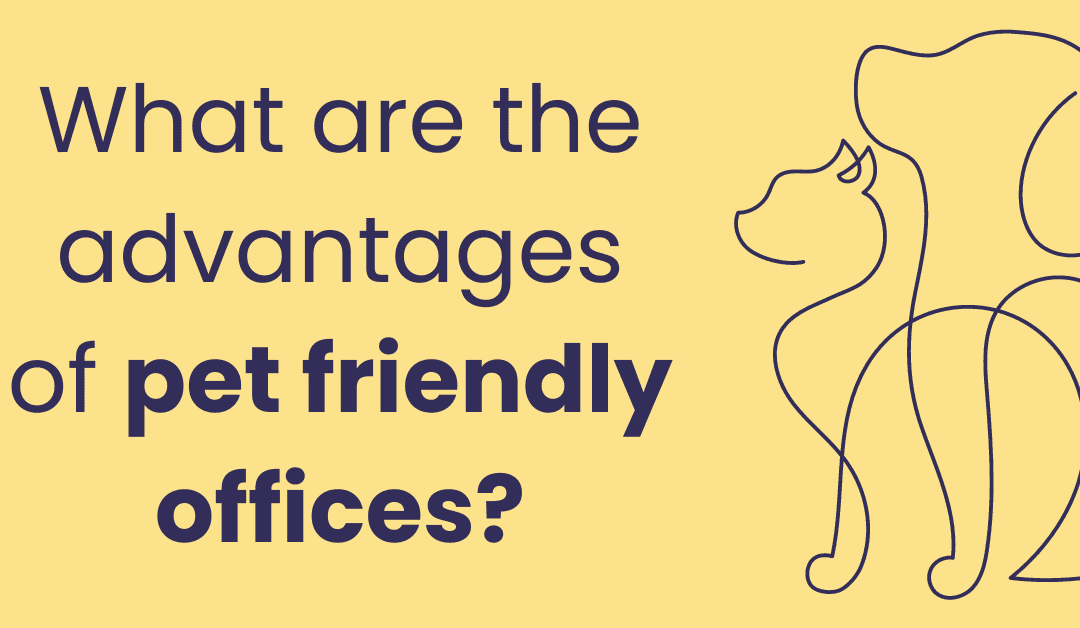 Pet-Friendly Offices