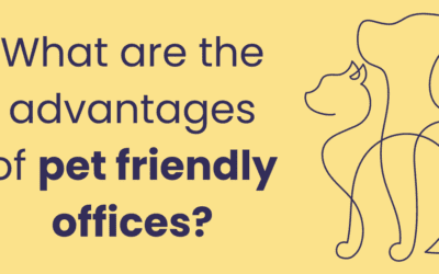 Pet-Friendly Offices