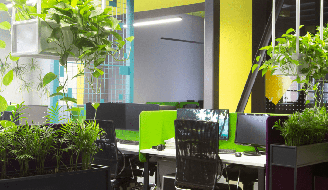 Advantages of Plants in the Office