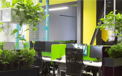 Advantages of Plants in the Office